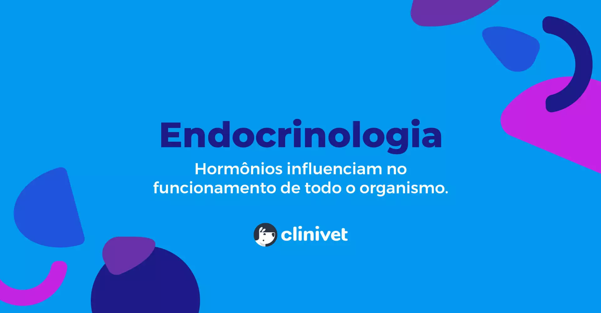 clinivet-especialidade-endocrinologia-3