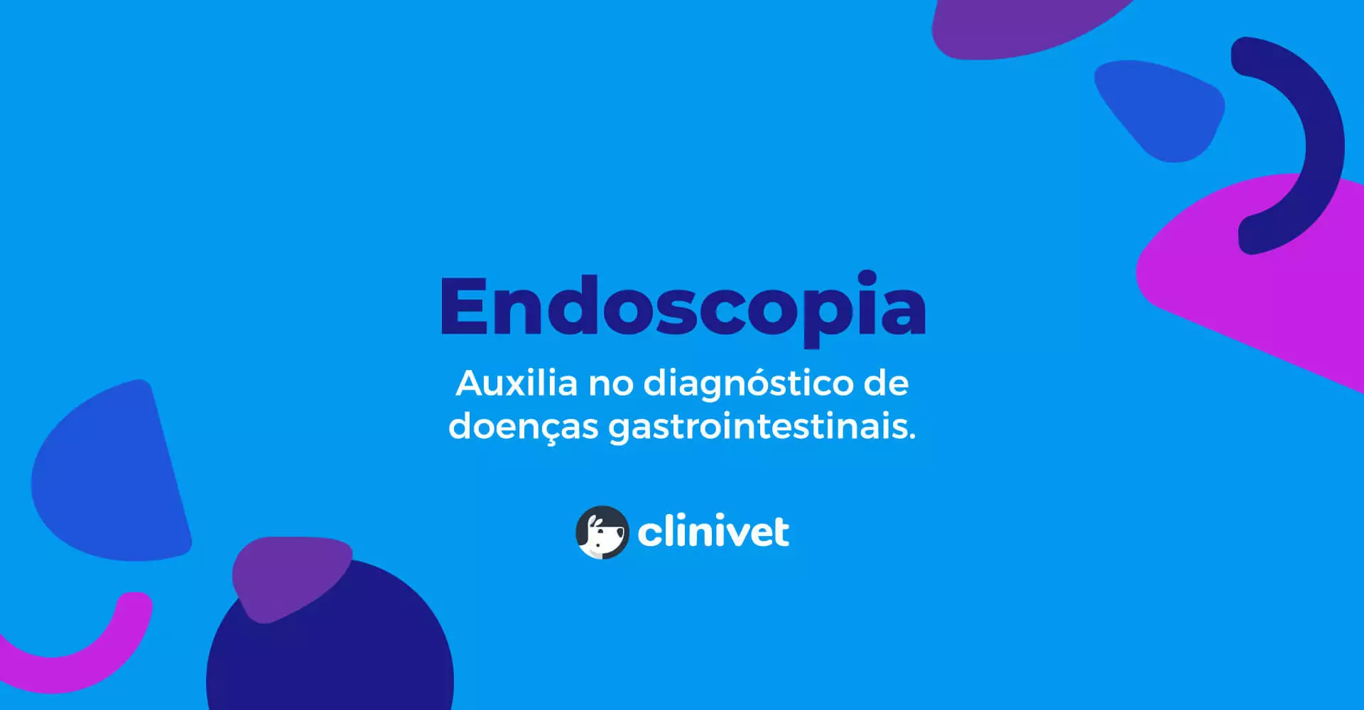 clinivet-exame-endoscopia-3
