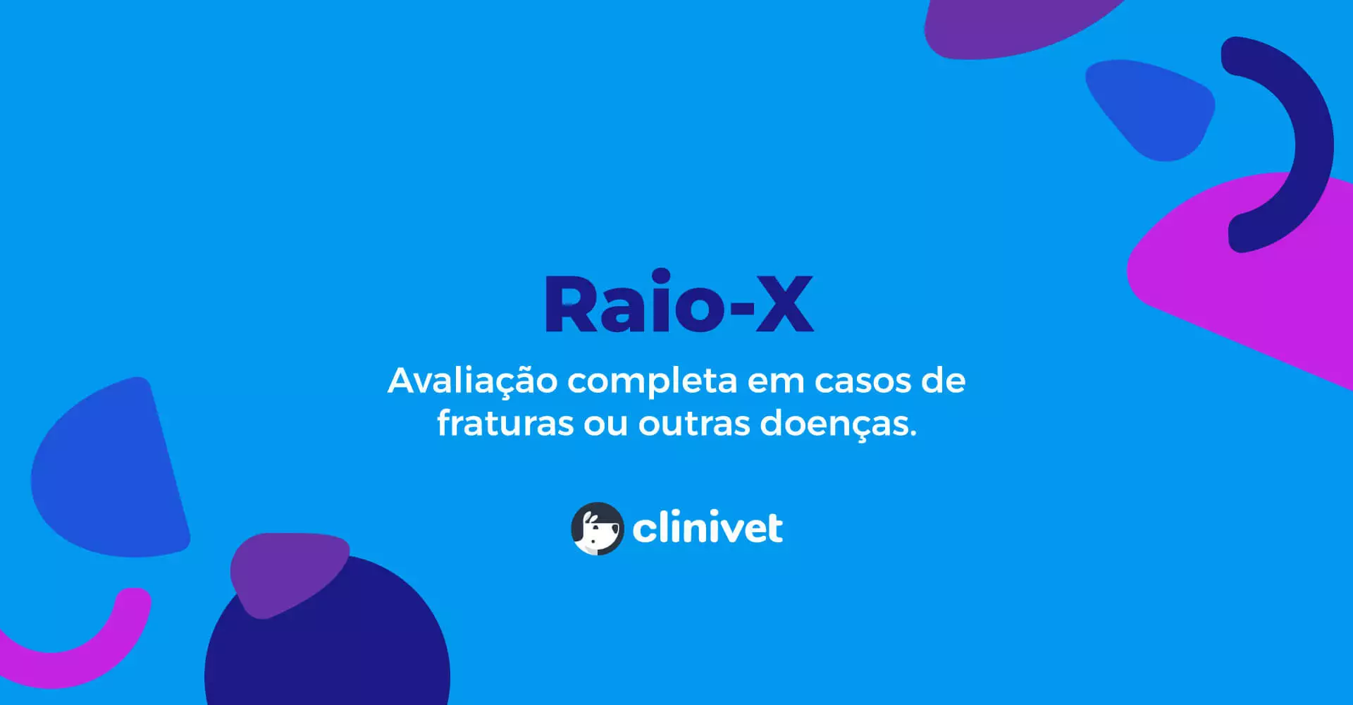 clinivet-exame-raio-x-3